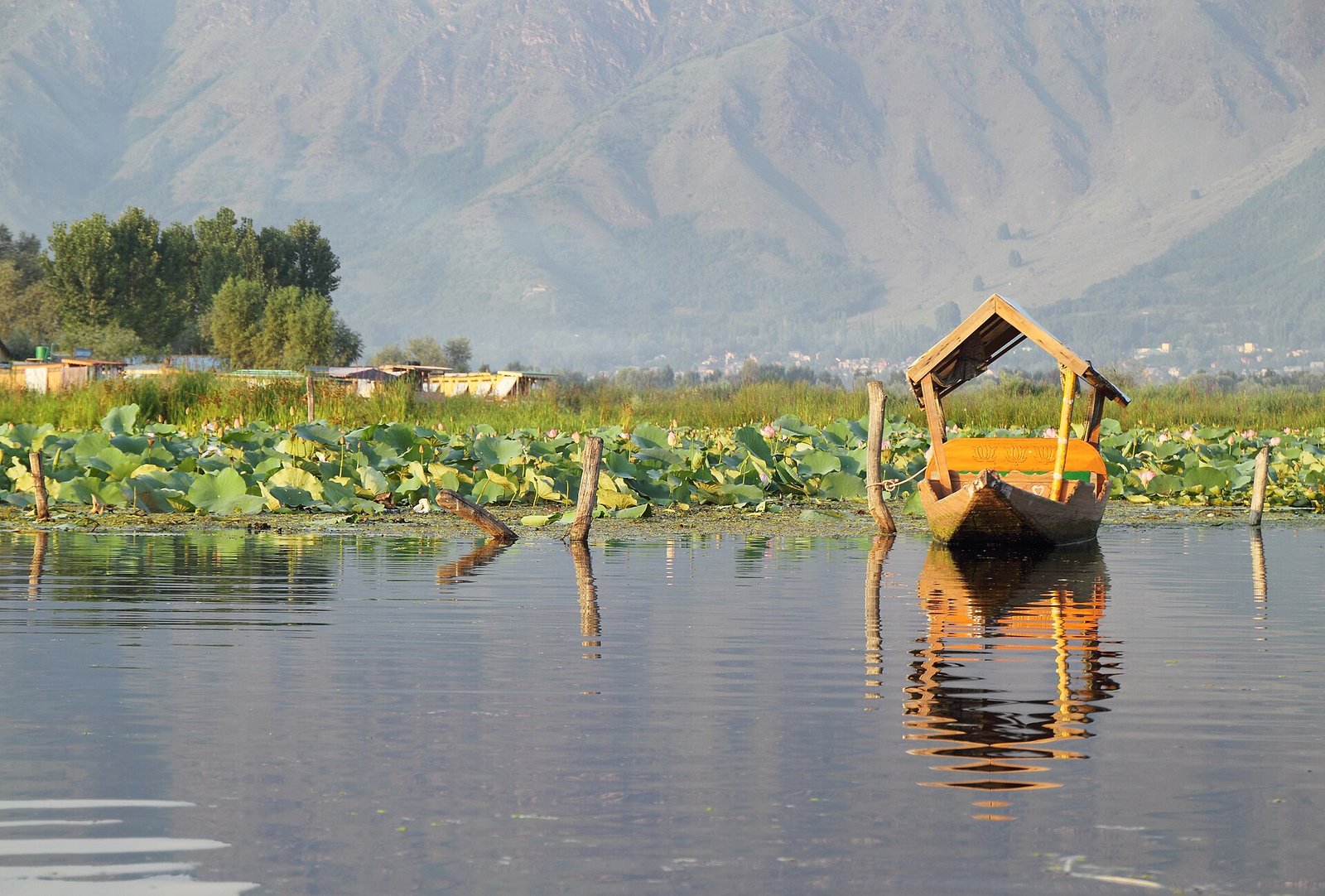 Srinagar