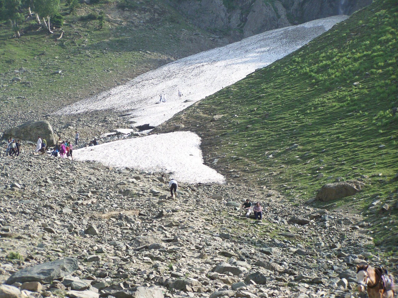 Thajiwas Glacier, Sonmarg