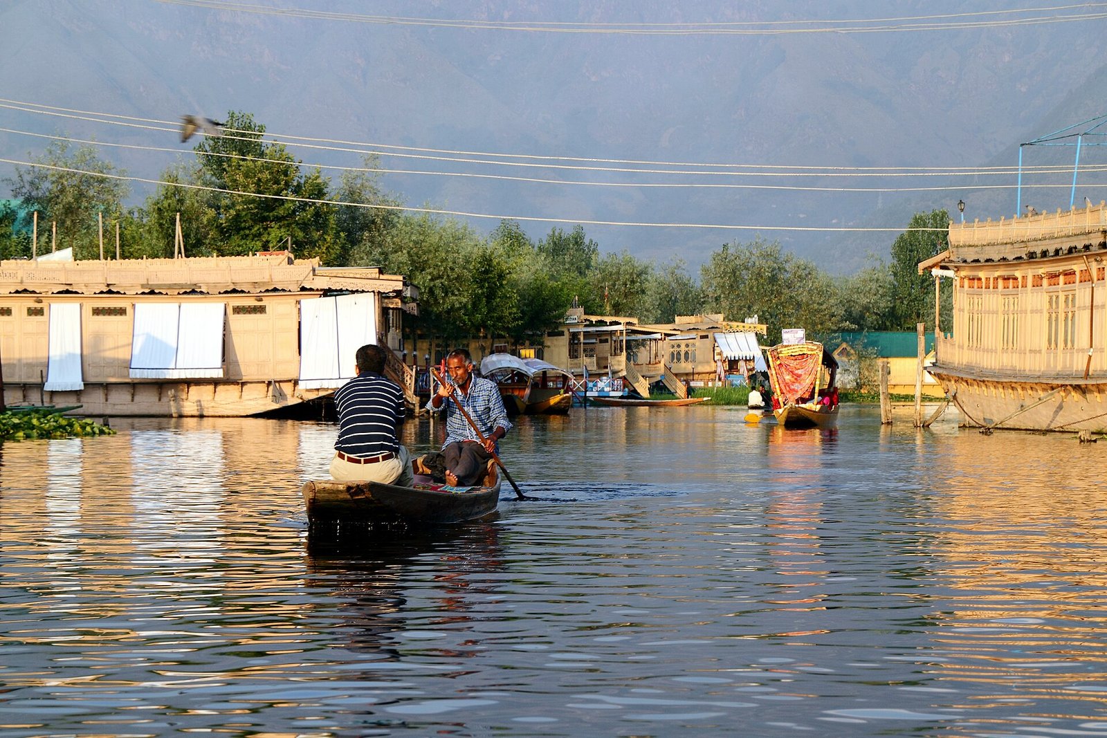Kashmir Honeymoon Special